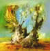 Olive Tree - Kornati